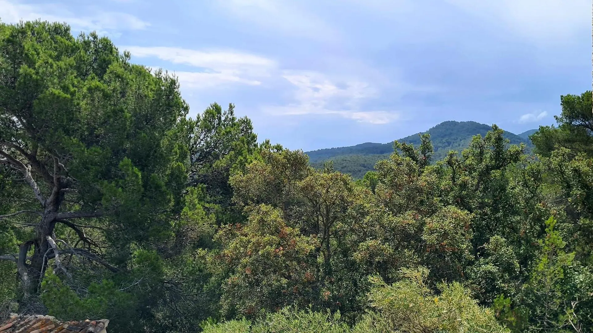 Villa M, Chambres D'Hotes, Vue Mer, Sauna, Piscine A Six-Fours Six-Fours-les-Plages Bed & Breakfast